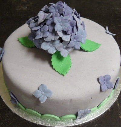 Afbeelding voor “Hortensia Taart”