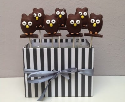 Afbeelding voor “Uilen Cakepops”