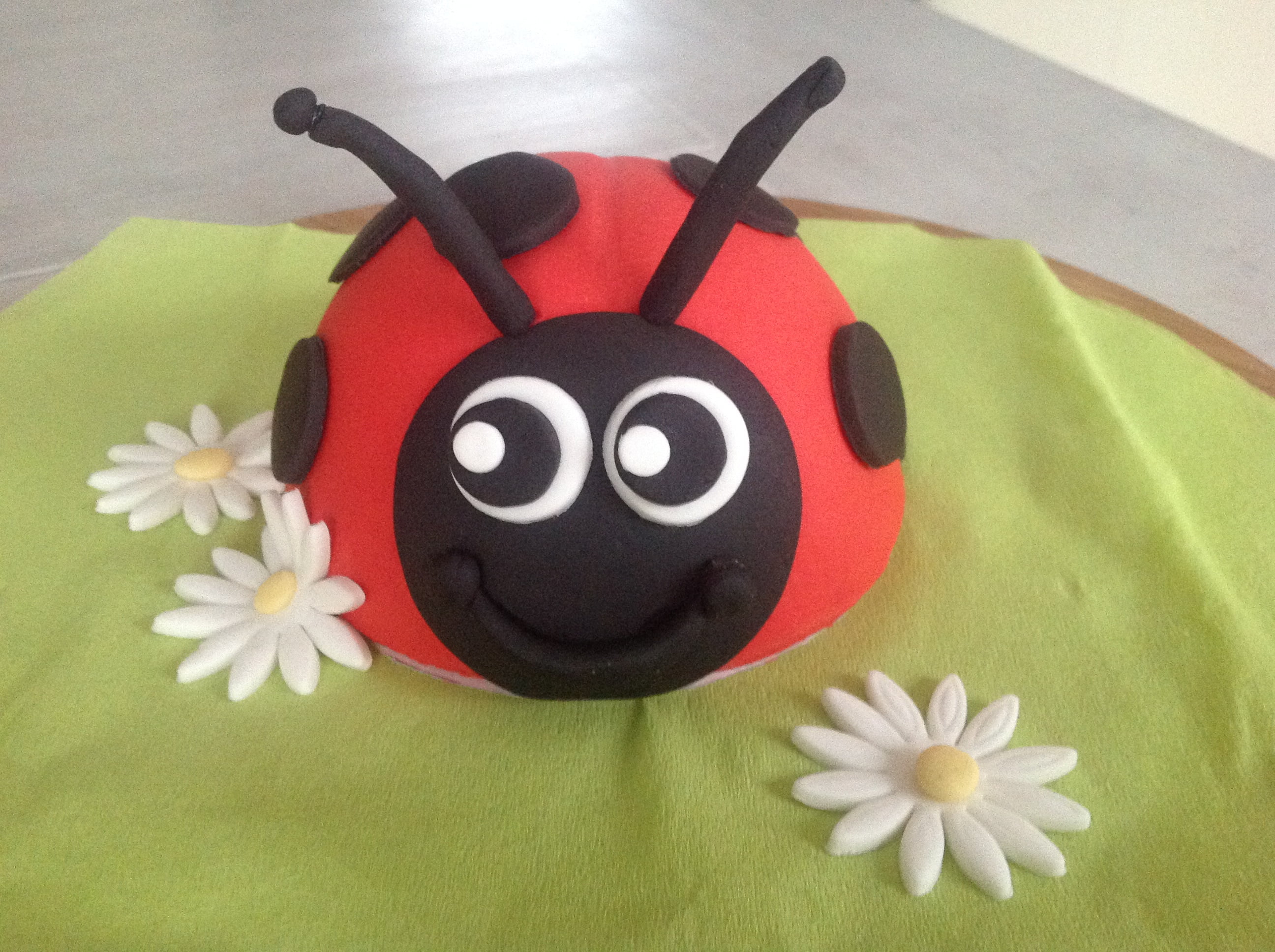 Afbeelding voor “Lieveheersbeestje”