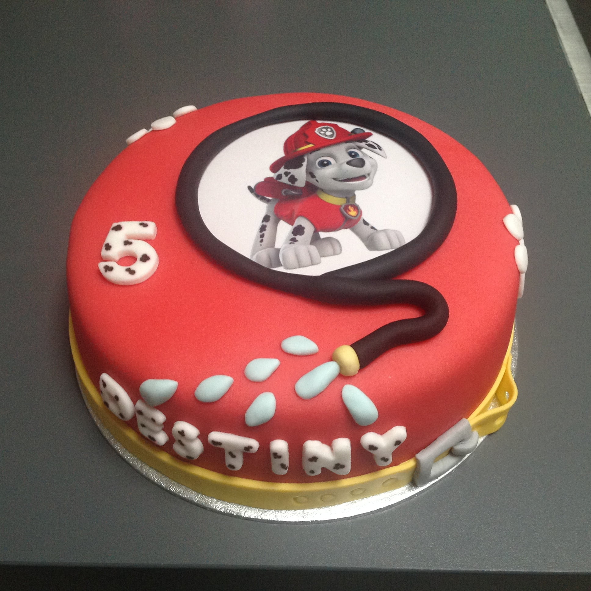 Afbeelding voor “Paw Patrol taart”
